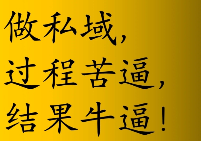 我以前真的真瞧不上那些干私域的
